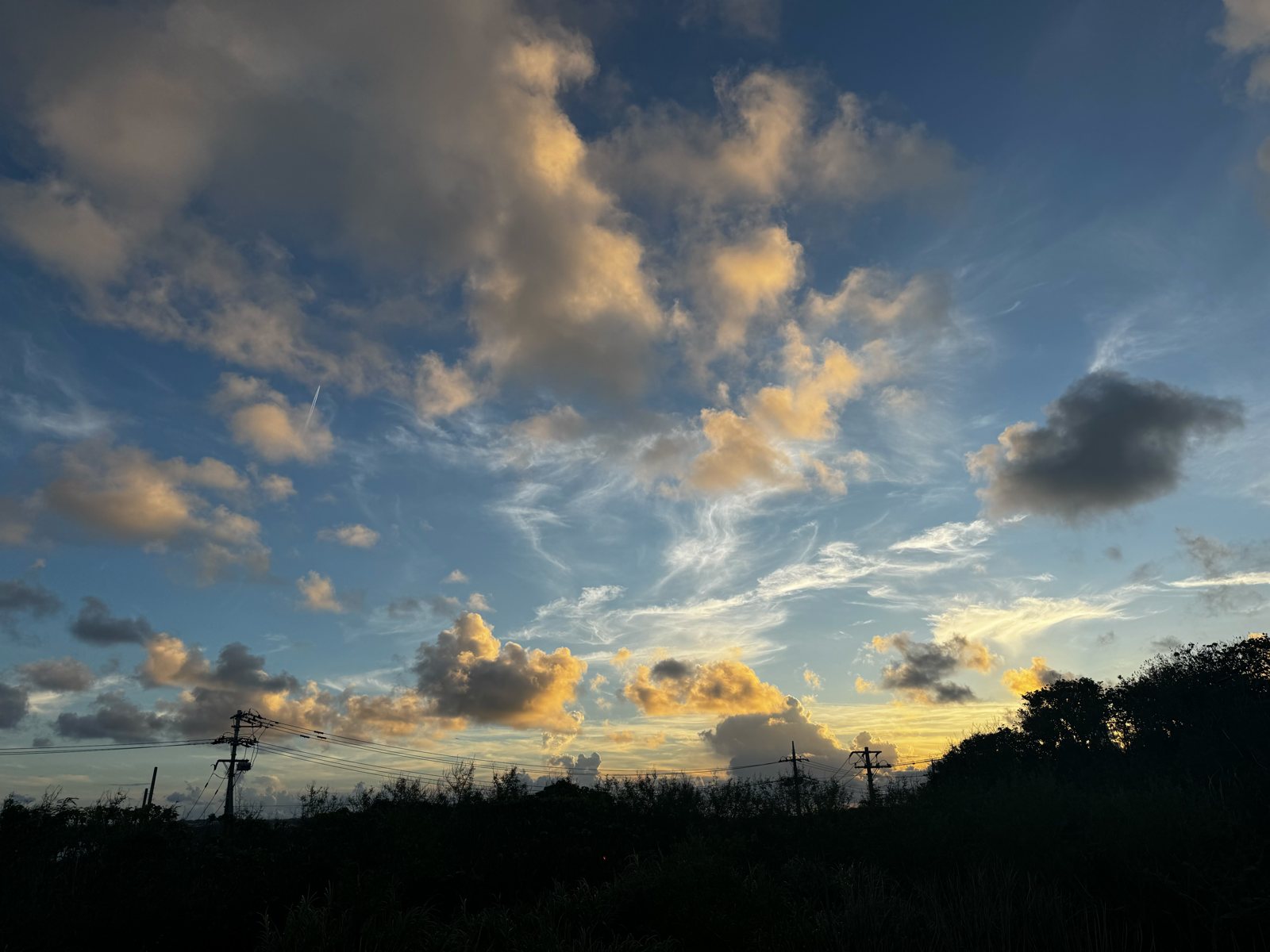 金色に染まりはじめた夕方の雲